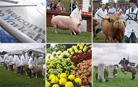 The Great Yorkshire Show