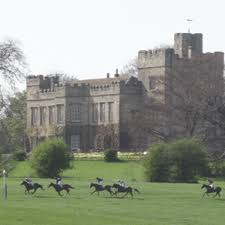 Bedale Point to Point