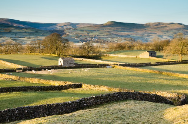 Wensleydale